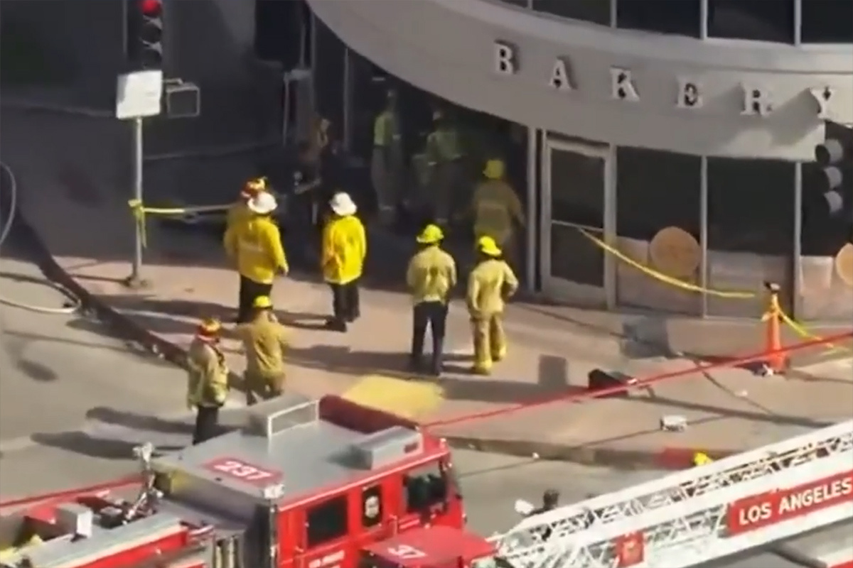    Фото: скрин с видео PressTV Extra / X