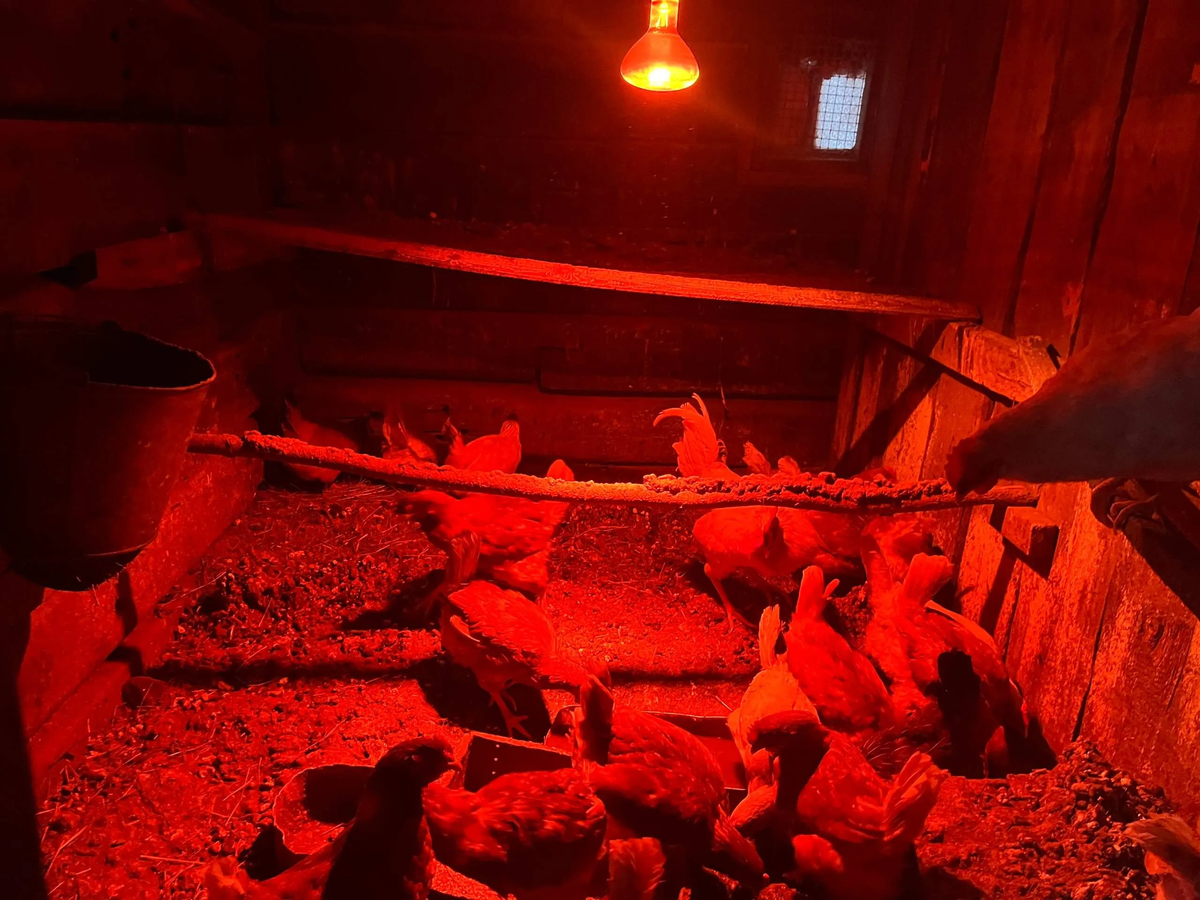 Это у них в домке.