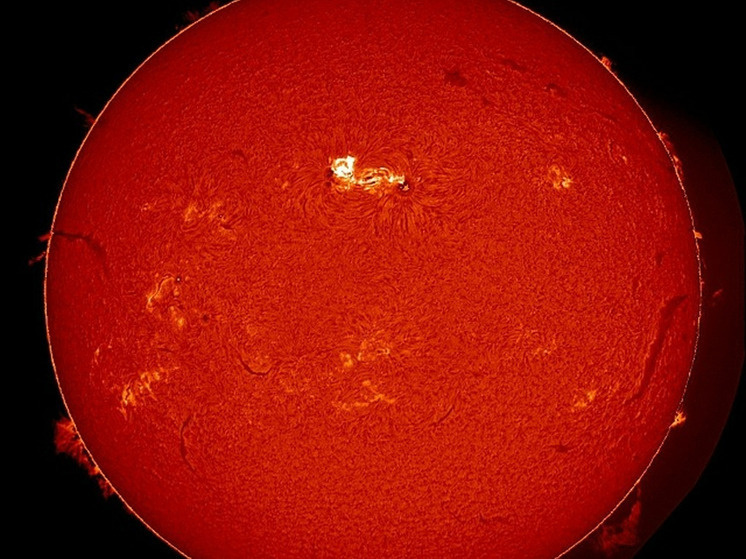     Фото из соцсетей Иркутского планетария