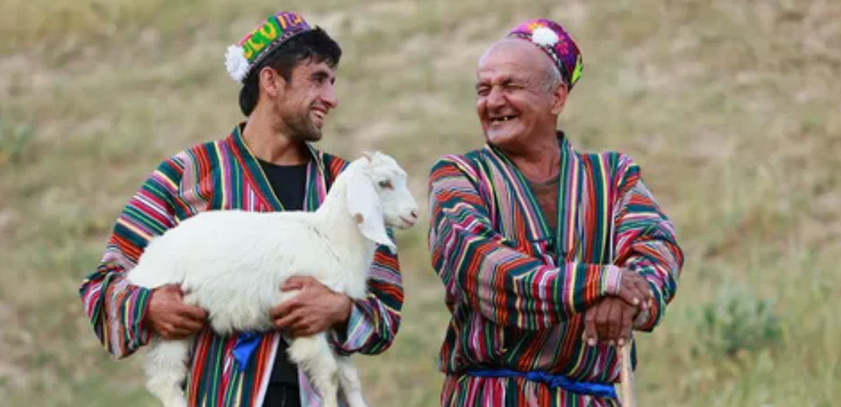 фото из открытых источников