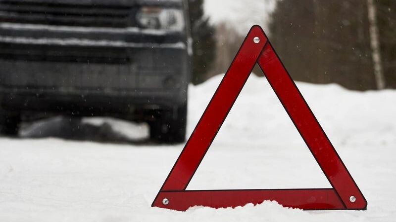    Фото: Gecko Studio / Shutterstock/ Fotodom