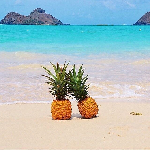 Яндекс картинки 