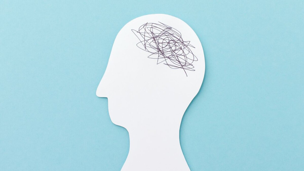 фото из открытого источника