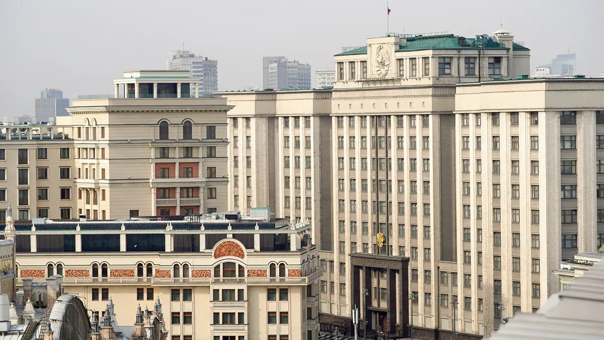    Фото: vm.ru Вероника Ситникова