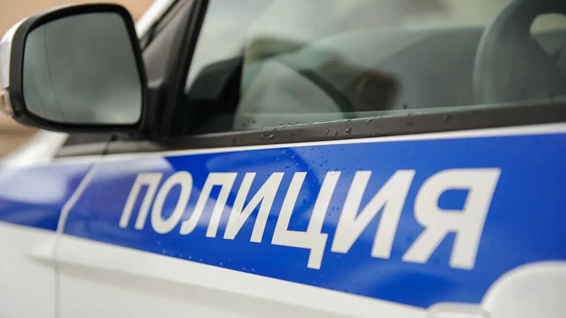    Фото: vm.ru София Васильева