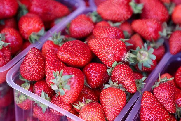    Фото: lenta.ru Евгений Агапов