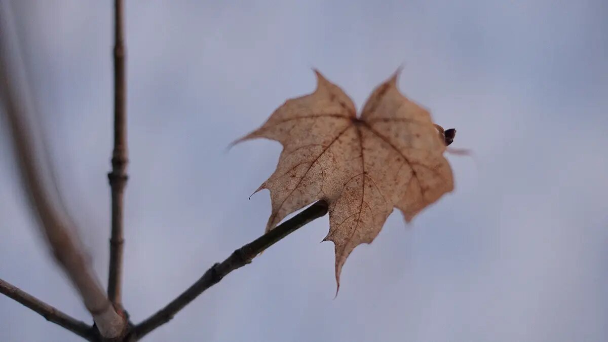    Фото: vm.ru София Васильева