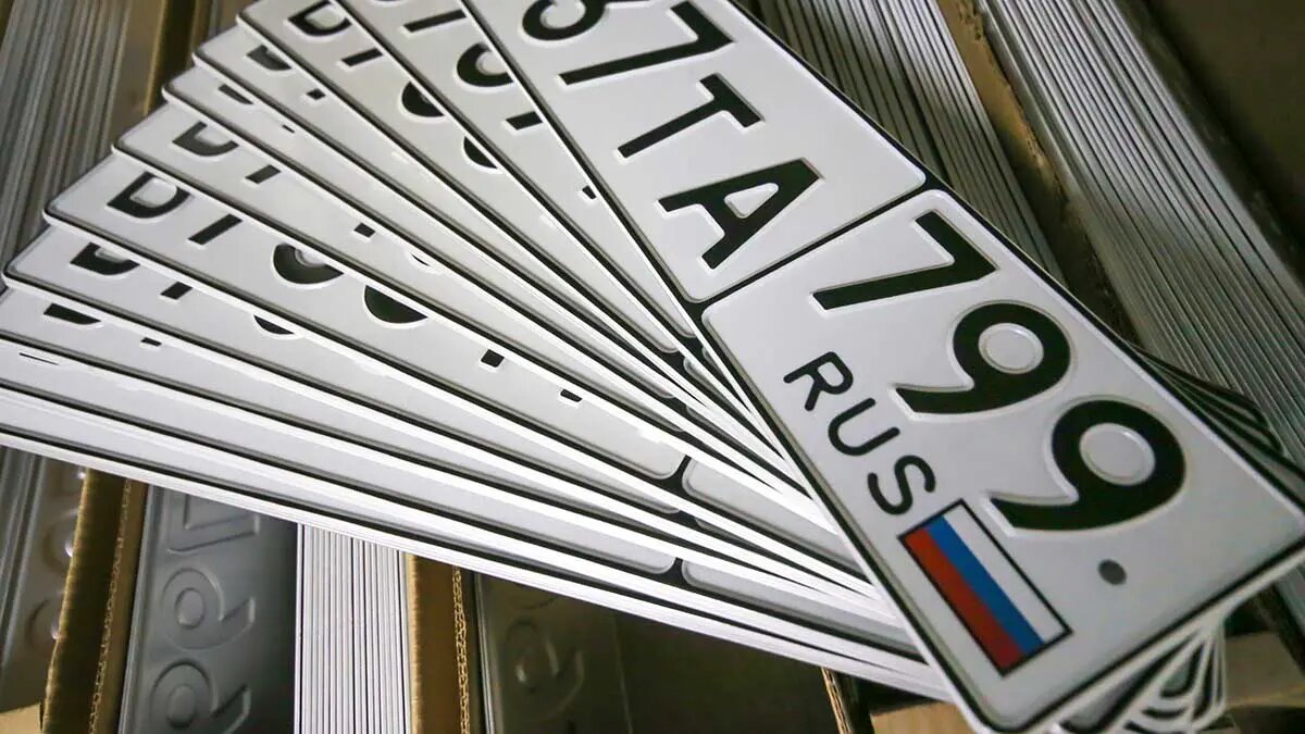    Фото: vm.ru София Васильева