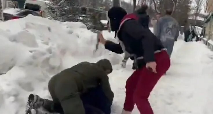    Фото: vm.ru Виктория Николаева