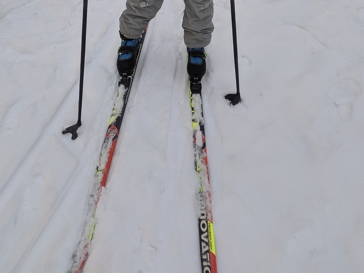     фото: мк в вологде