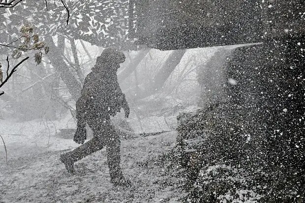    Фото: lenta.ru Максим Левин