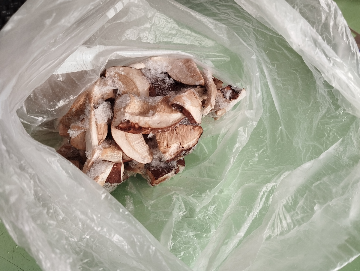 В прошлом году грибов было мало, но всё равно одну полку в морозилке удалось набить