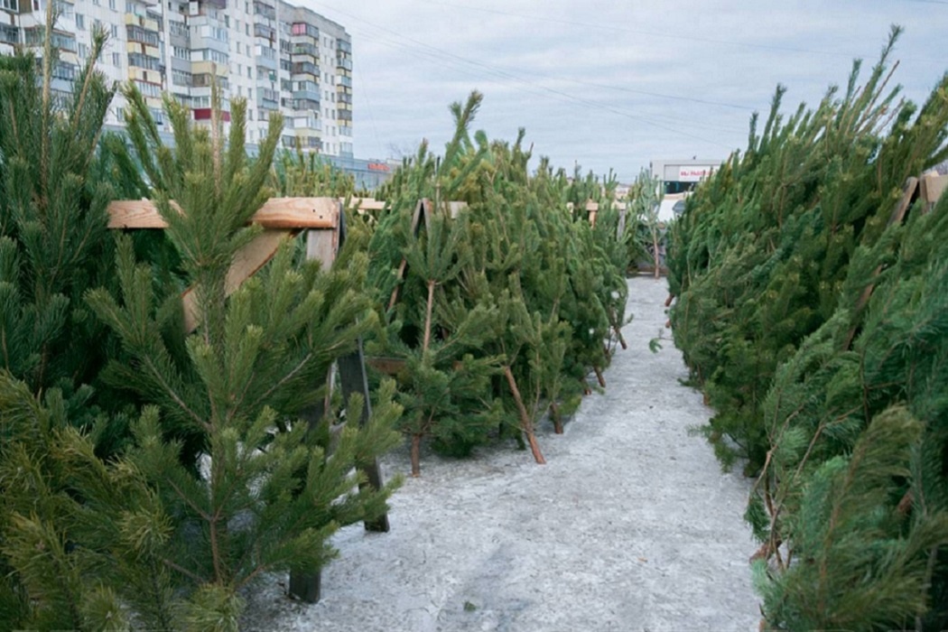    Фото: пресс-служба администрации Кургана