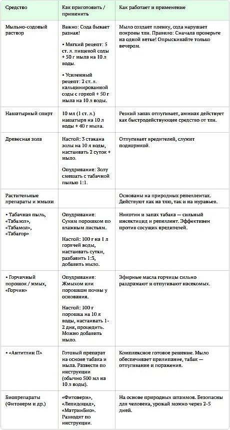 Общее правило для настоев (табака, горчицы, золы) и растворов с содой: Перед первым применением сделайте тест на одной ветке и выждите сутки. Опрыскивайте вечером в безветренную погоду.