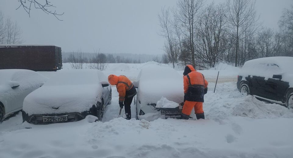    Роман Кутузов