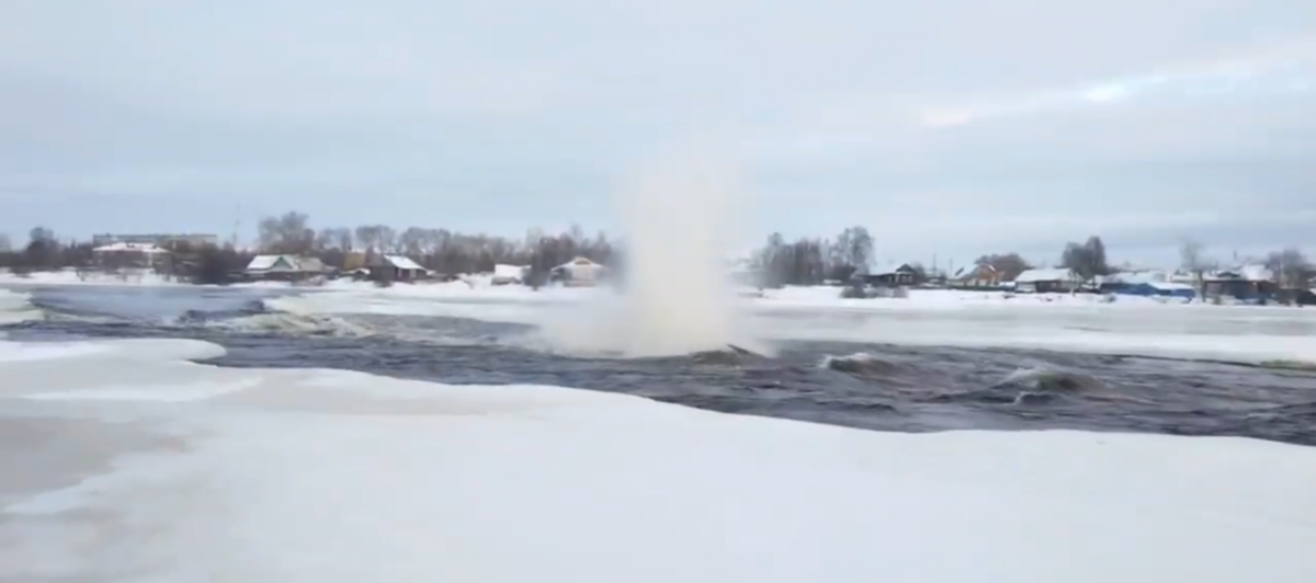    Скриншот видео Госкомитета Карелии по ОЖ и БН