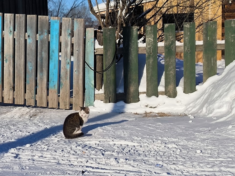    Ночью морозы здесь доходят до -35°С Элина ИВАНОВА