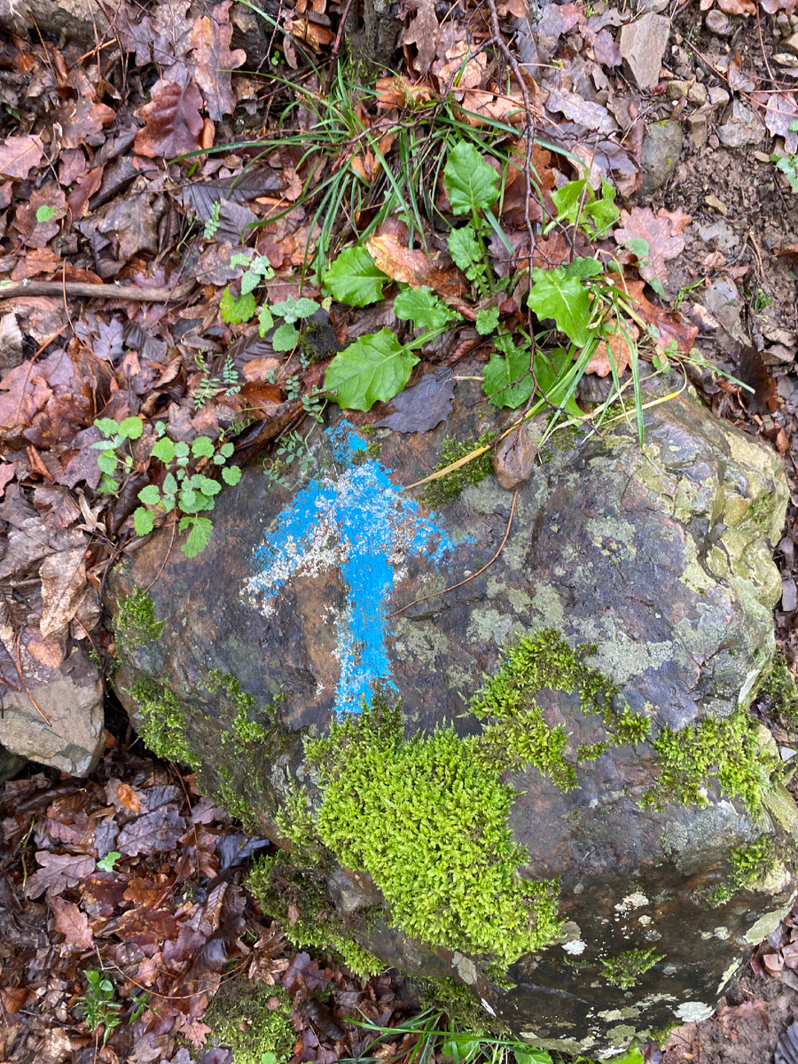 Маркировка. Яркая, читаемая.