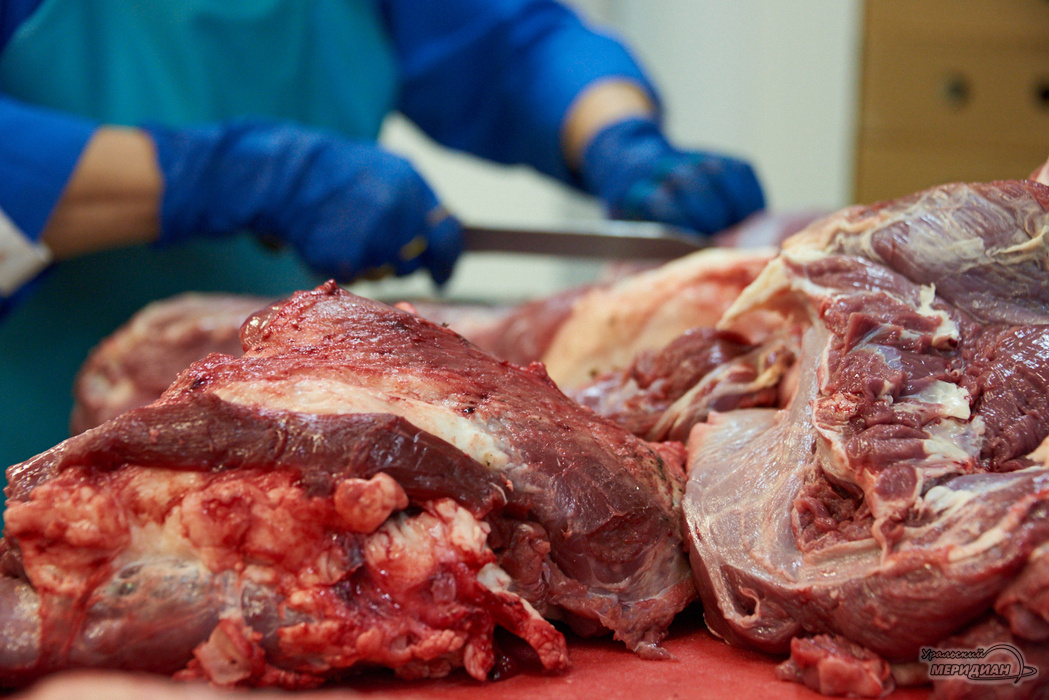    Фото: Лидия Аникина © ИА «Уральский меридиан»