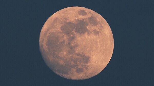    © РИА Новости . Саид Царнаев