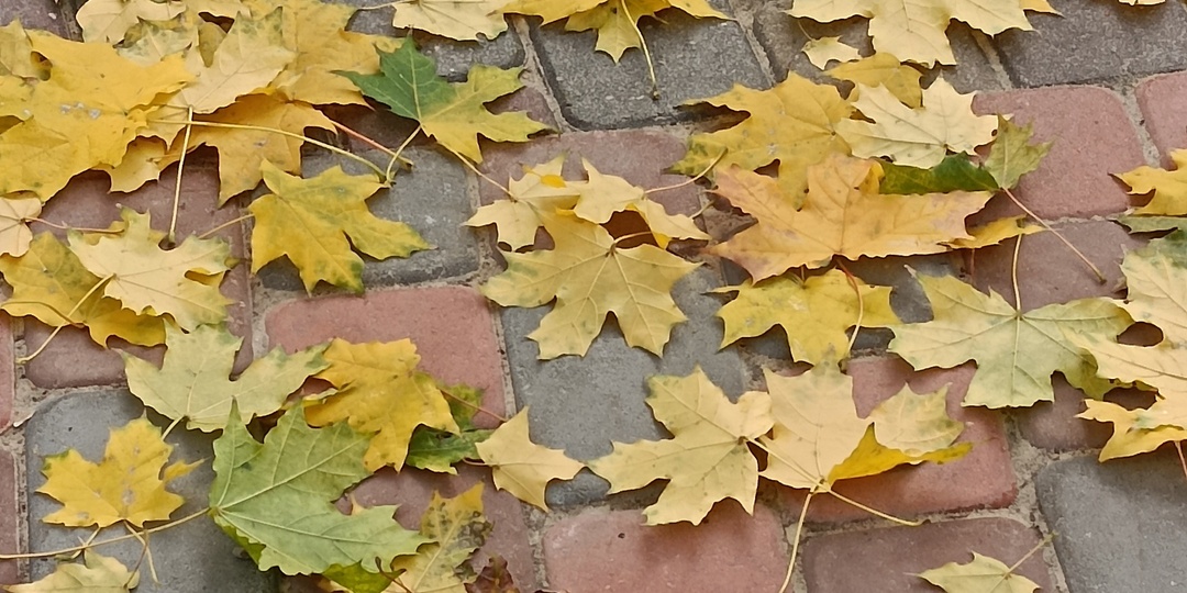 Сидеть с внуками полезно для здоровья: бабушкам приготовиться