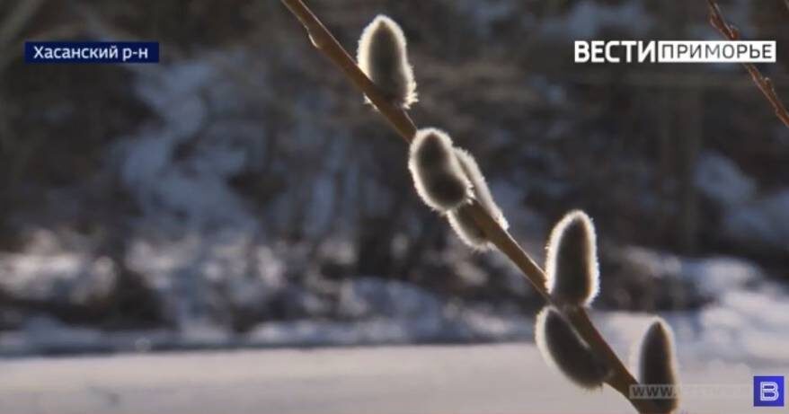    Источник фото: