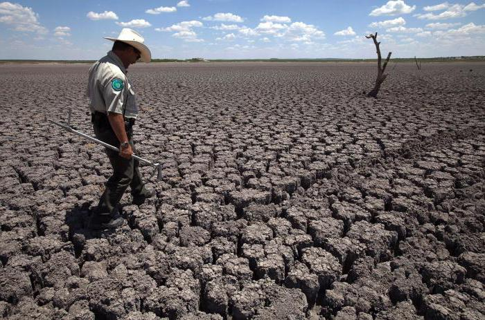 Великие равнины Северной Америки: https://www.syl.ru/article/323627/velikie-ravninyi---predgornoe-plato-v-ssha-i-kanade-opisanie
