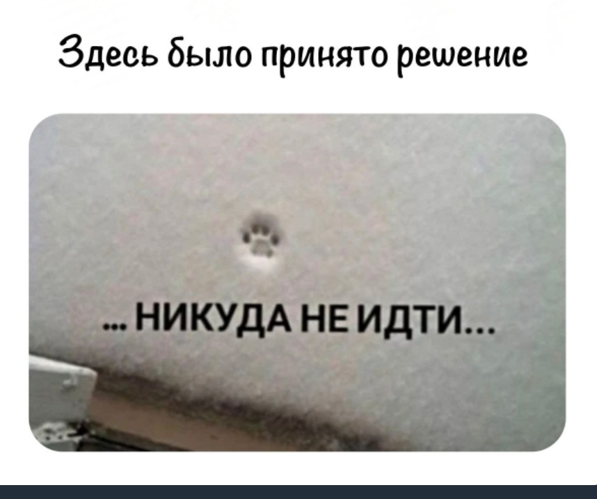 Яндекс 😁 Моя частая ситуация 😁