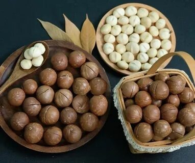 Орехи макадамия. Источник: https://avatars.mds.yandex.net/i?id=f3a6c73ebeba81fc1ecb240e1ac443db84108029-17448378-images-thumbs&n=13