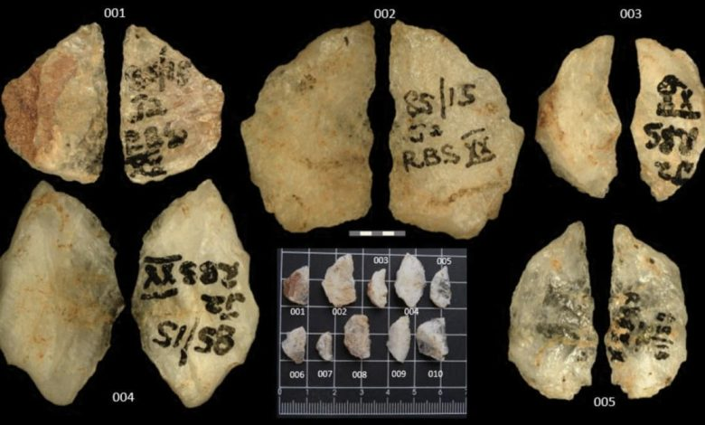 Те самые наконечники. Нет, это не зубы!