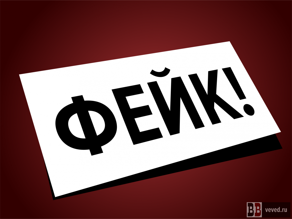     Иллюстрация: Андрей Гоголев / Вечерние ведомости