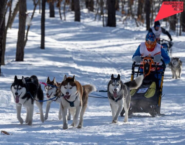    Фото:пресс-служба министерства спортаХабаровского края