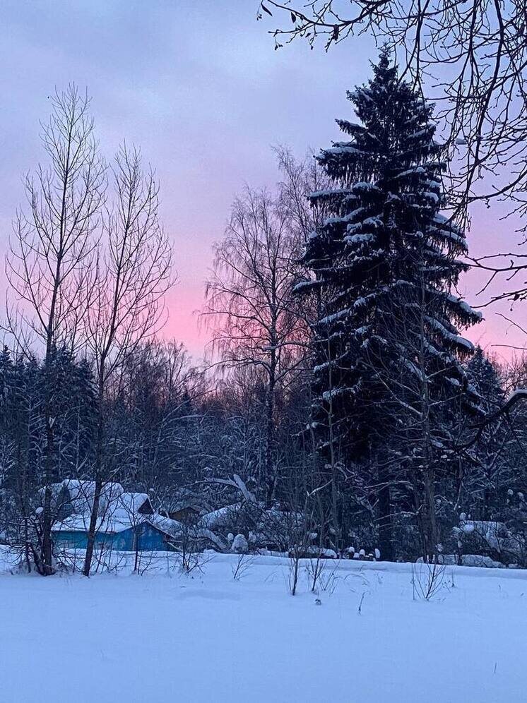   Елена Полякова