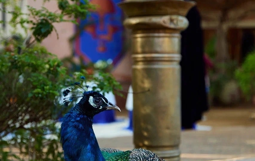 Влад Череватый снимается во втором сезоне шоу "Мастер игры"