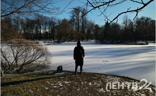    © Анастасия Илюшина / ЛенТВ24 из архива