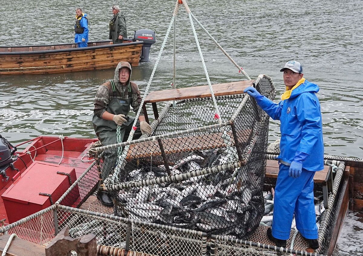     / Источник: © ИЗВЕСТИЯ/Павел Волков