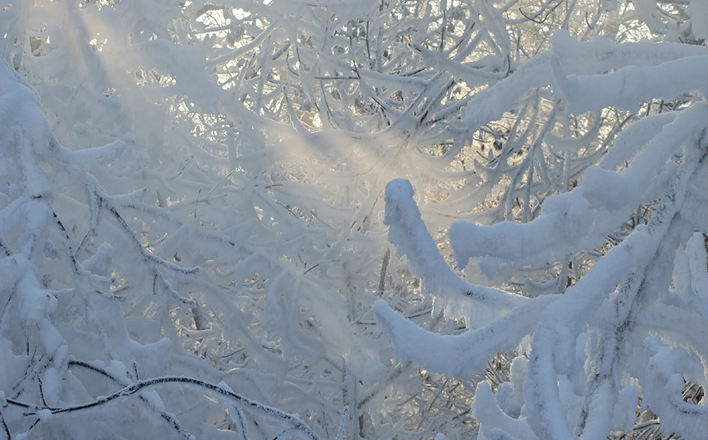 Погода в Твери 6 февраля. Блестя на солнце