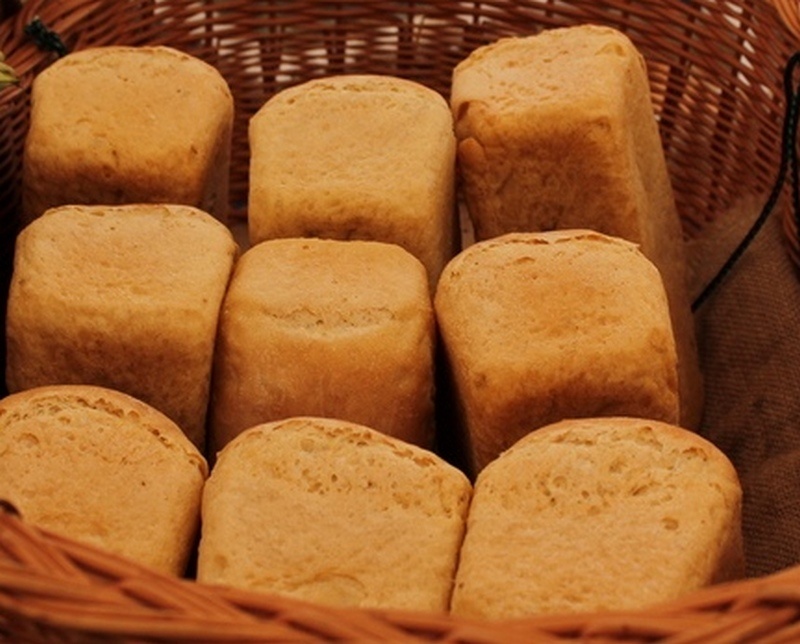    фото: © Столица на Онего