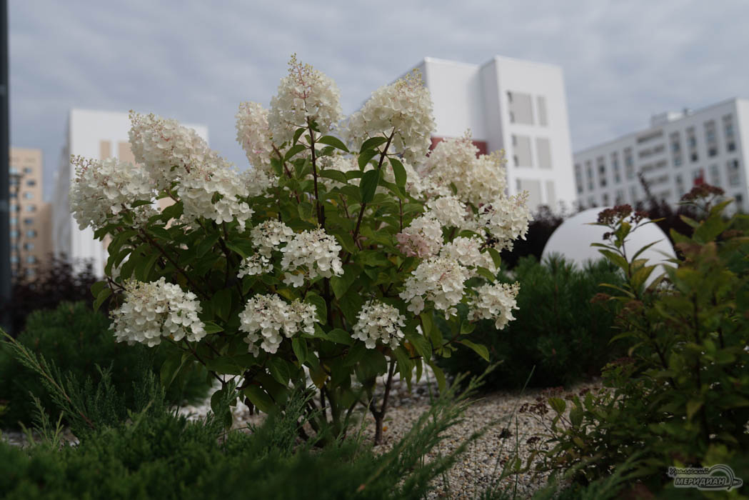    Фото: Лидия Аникина © ИА «Уральский меридиан»