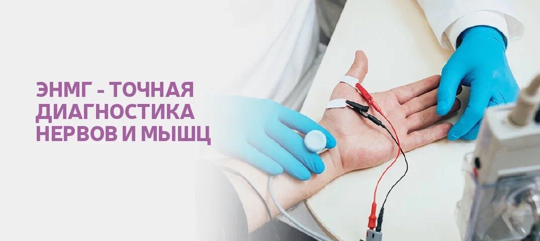 Увидеть, как работает нервно-мышечная система