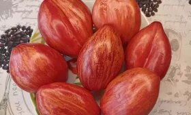 Листайте вправо, чтобы увидеть больше изображений