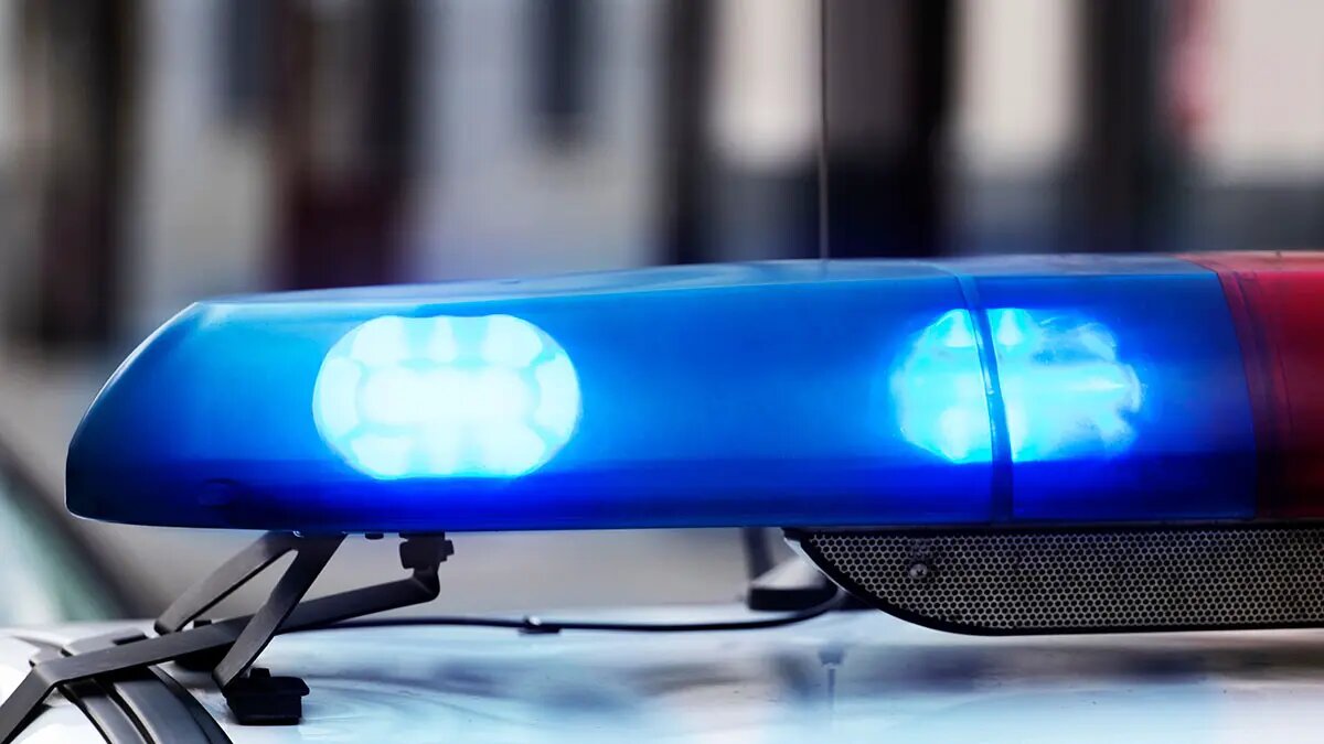    Фото: vm.ru Виктор Павлов