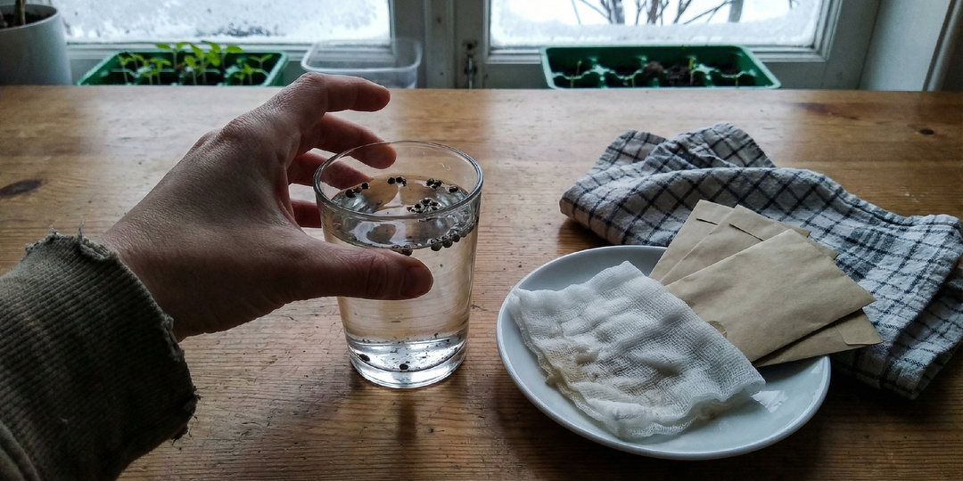 Я четыре года замачивал перцы и только сейчас понял, где ошибался