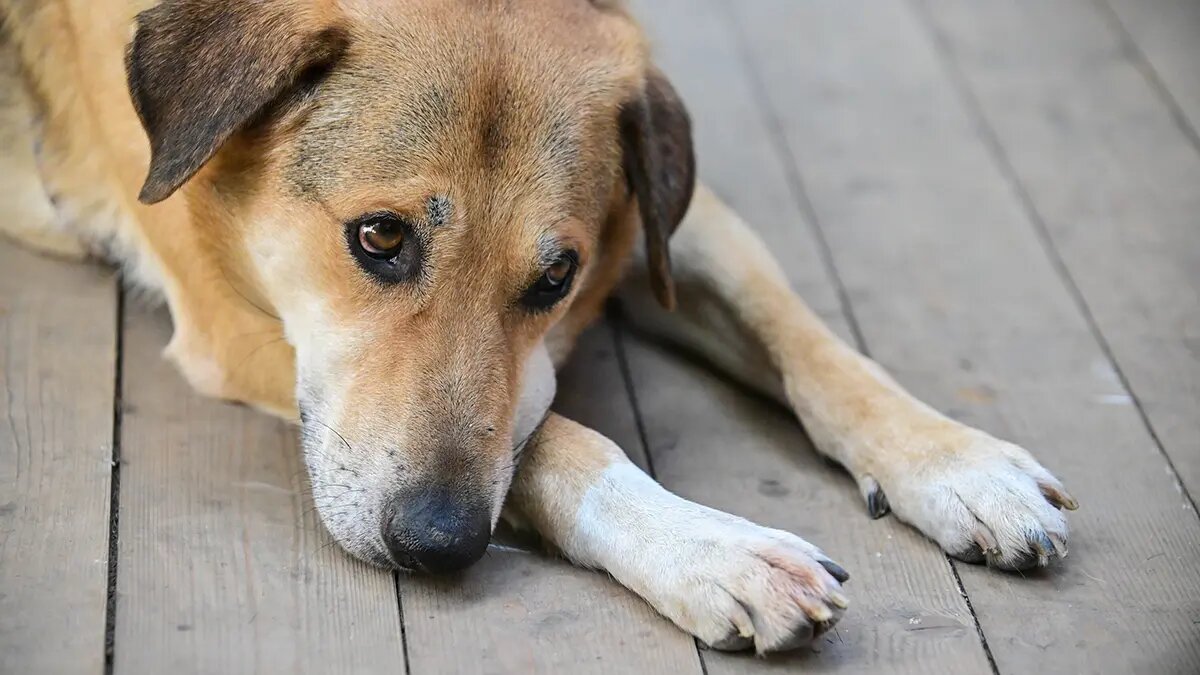    Фото: vm.ru Михаил Морозов