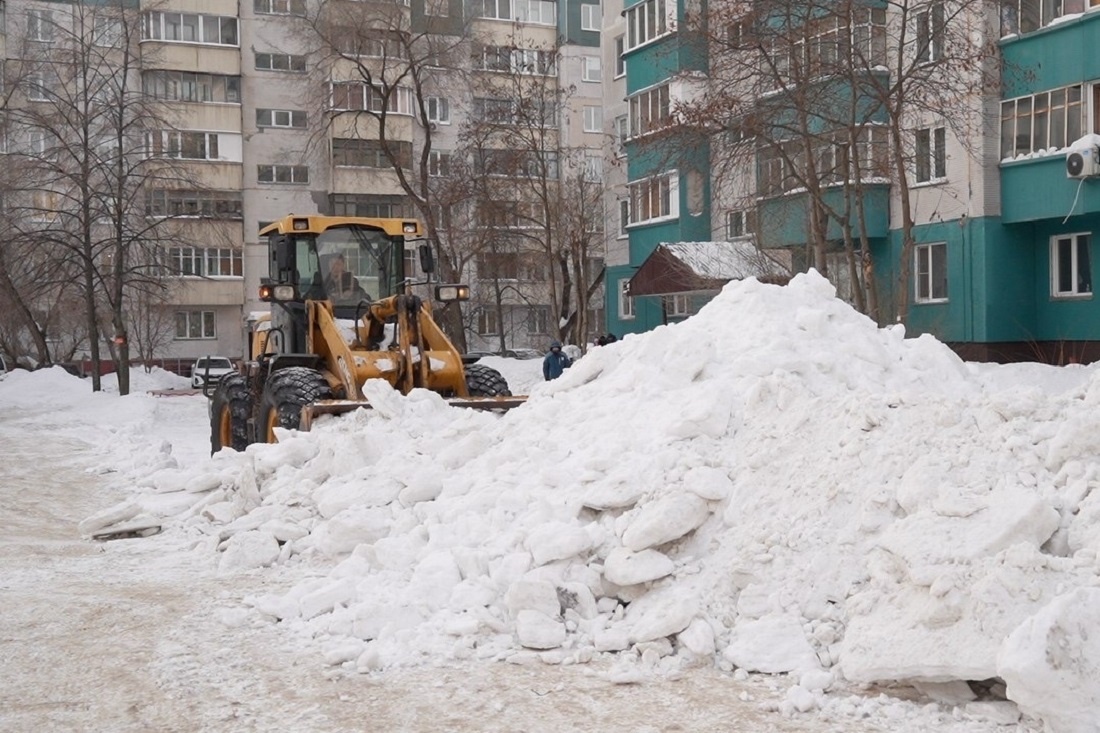    Фото: Влада Яковлева, nsknews.info