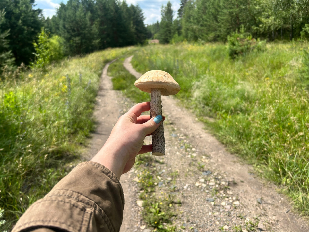 «Море внутри - life & travel» Первый и единственный в сезоне 2025