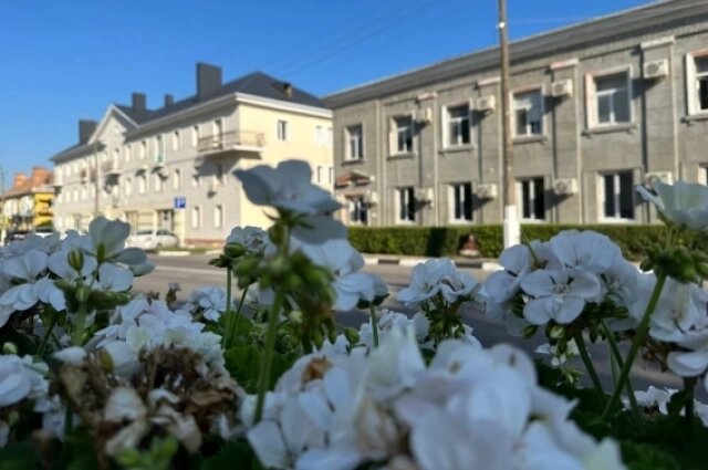    Летом город весь утопает в цветах. Фото: Правительство Белгородской области