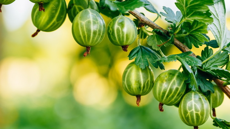 Точная статистика помогает отслеживать результаты по годам