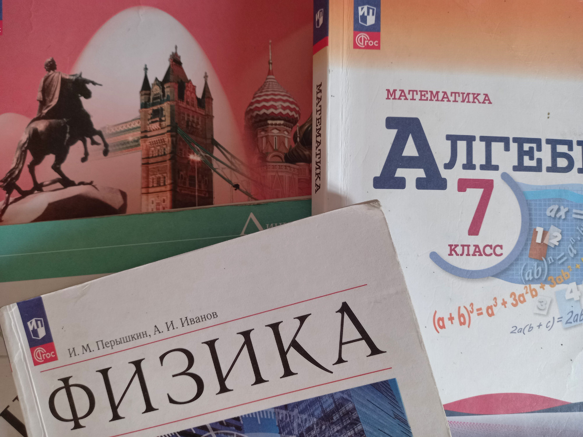 Учебники для 7 класса. Фото автора.