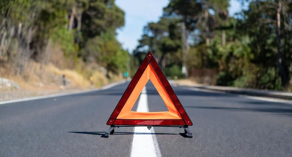    Подмосковье сегодня/Сгенерировано нейросетью